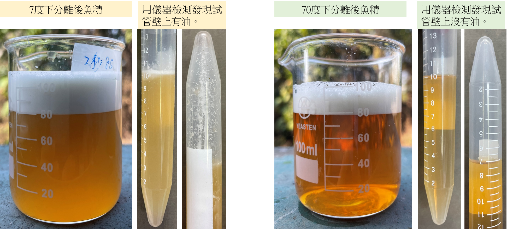 不同溫度下,魚精分離結果 不同溫度下,魚精分離結果